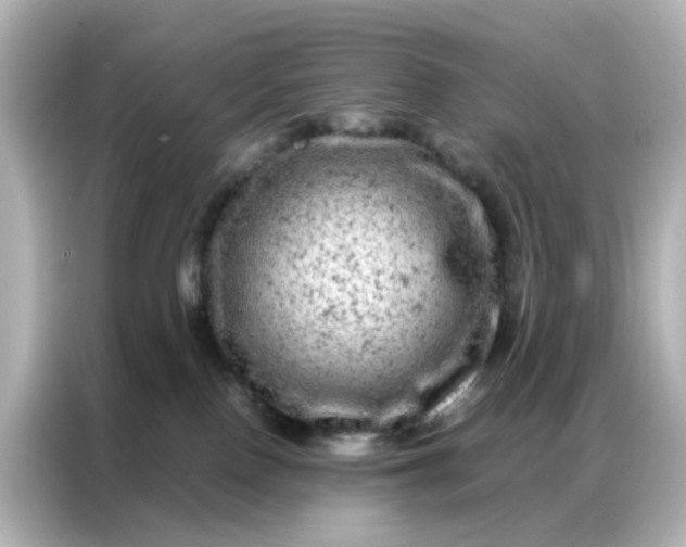 X0000087000090200704301406