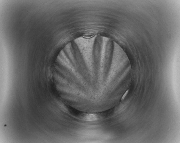 X0000087000091200704301406