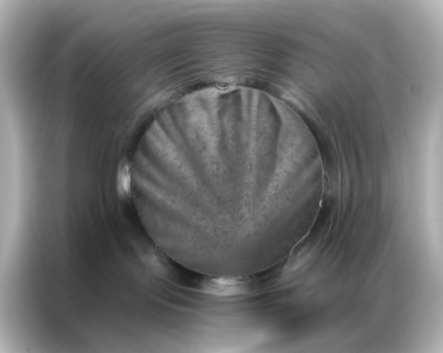 X0000087000095200704301406