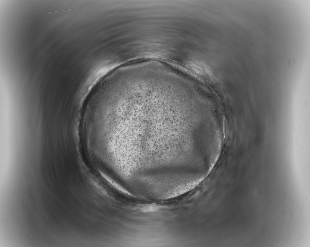 X0000087000098200704301406