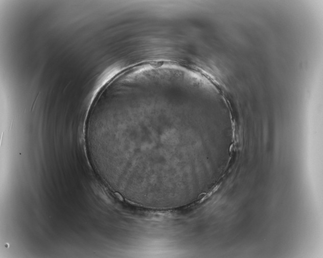 X0000087000099200704301406