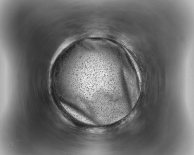 X0000087000102200704301406