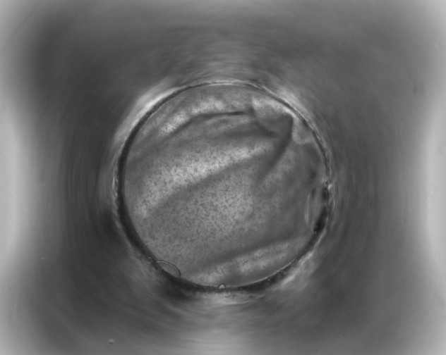 X0000087000103200704301406