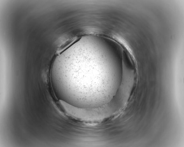 X0000087000105200704301406