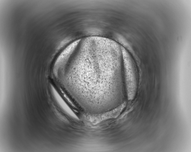 X0000087000106200704301405