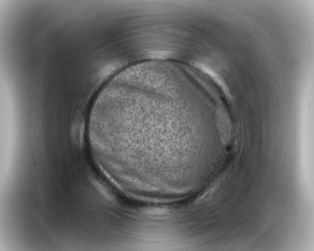 X0000087000110200704301405