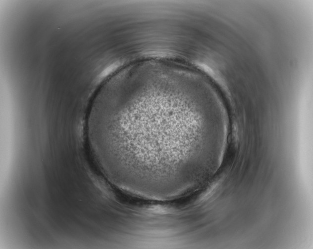 X0000087000111200704301405