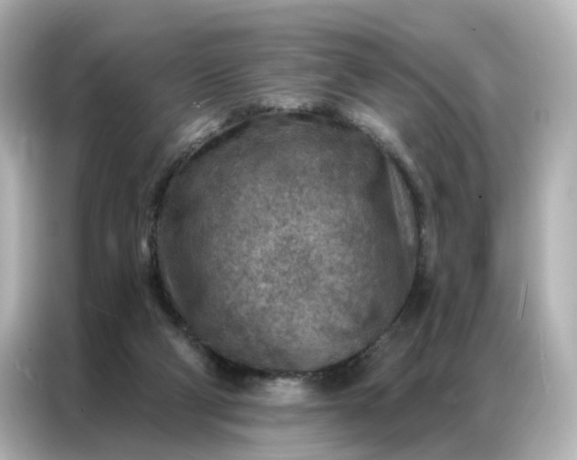 X0000087000114200704301405