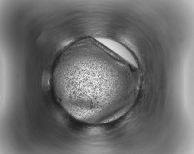 X0000087000115200704301405