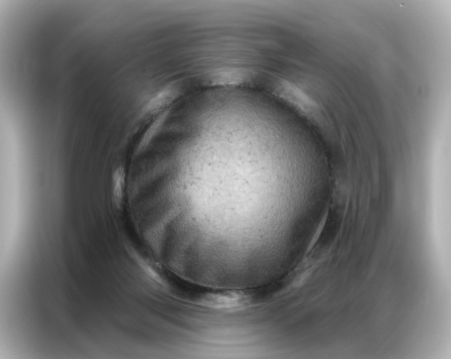 X0000087000118200704301405
