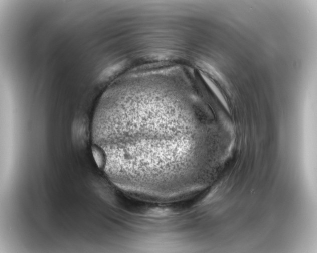 X0000087000119200704301405