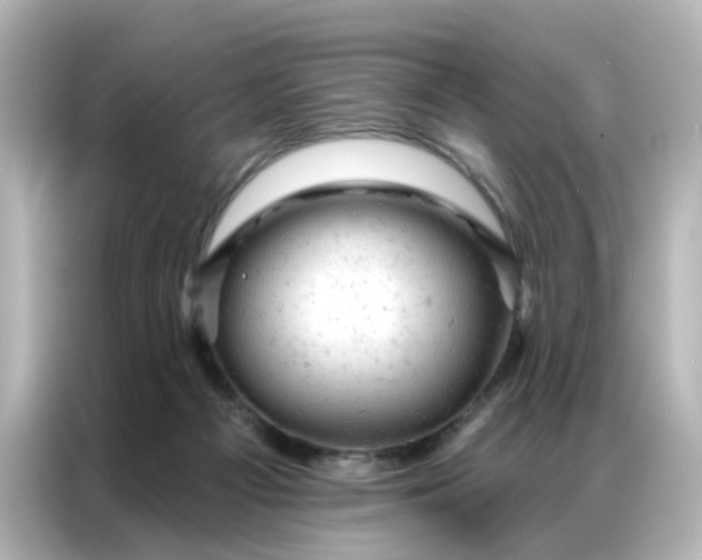 X0000087000121200704301405