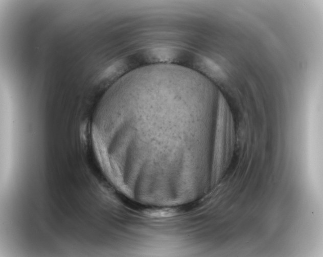 X0000087000122200704301405