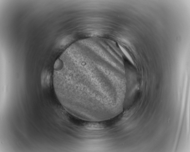 X0000087000123200704301405