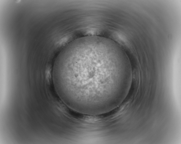 X0000087000127200704301405