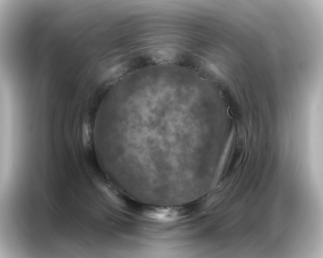X0000087000130200704301405