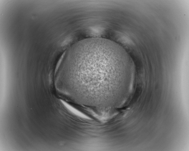 X0000087000131200704301405