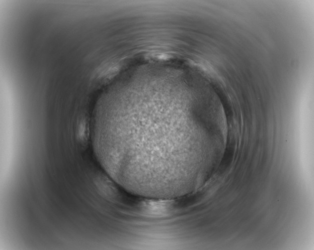 X0000087000134200704301405