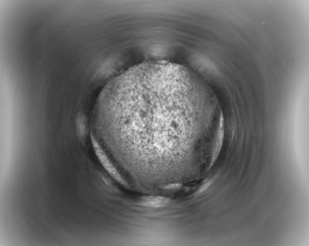 X0000087000135200704301405