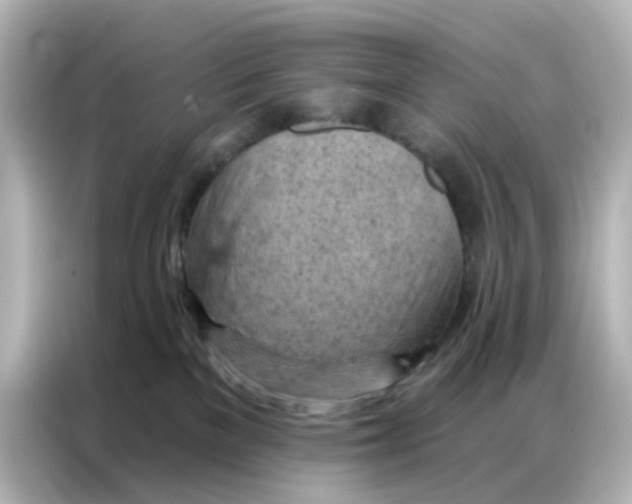 X0000087000137200704301405