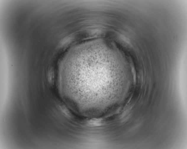 X0000087000138200704301405