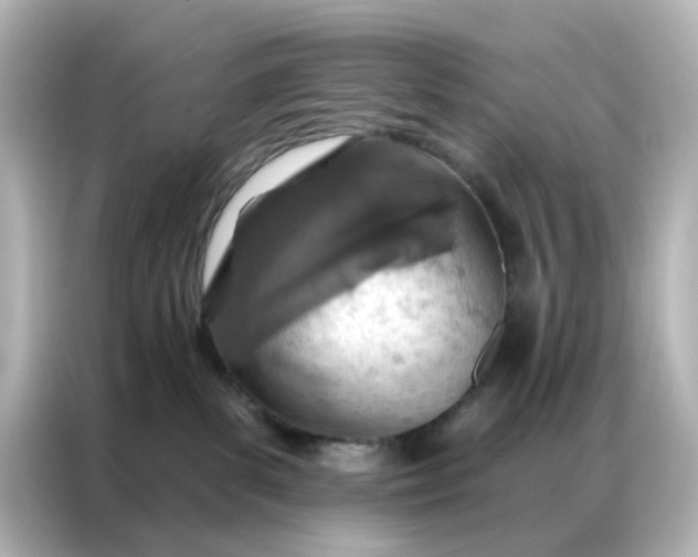 X0000087000139200704301405