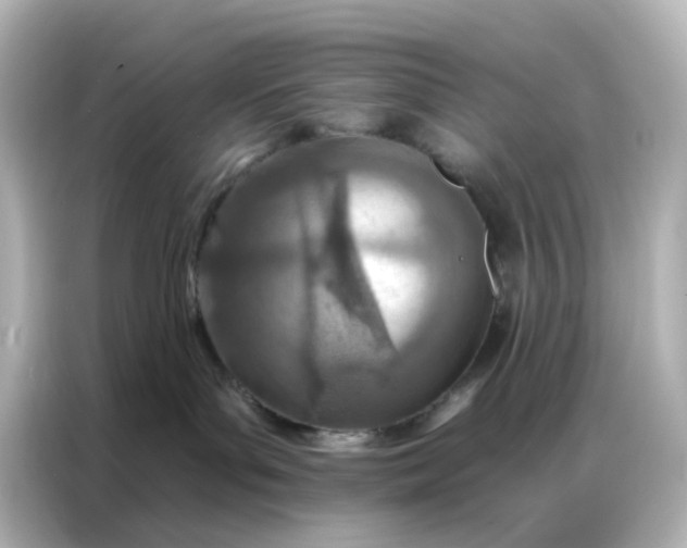 X0000087000143200704301405