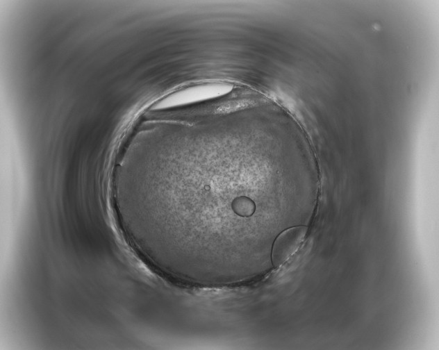 X0000087000145200704301404