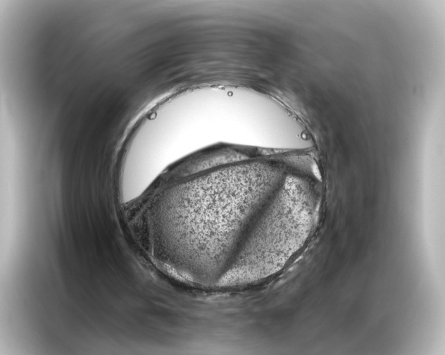 X0000087000146200704301404