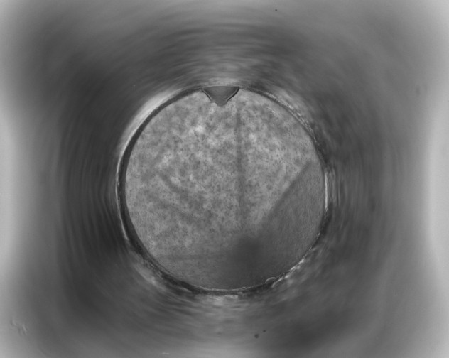 X0000087000147200704301404