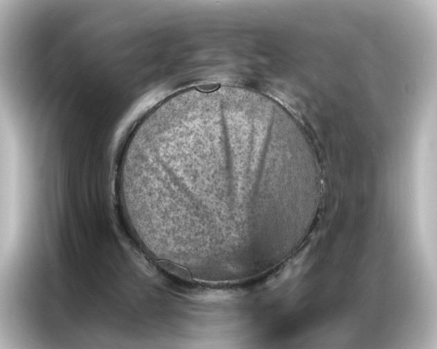X0000087000149200704301404