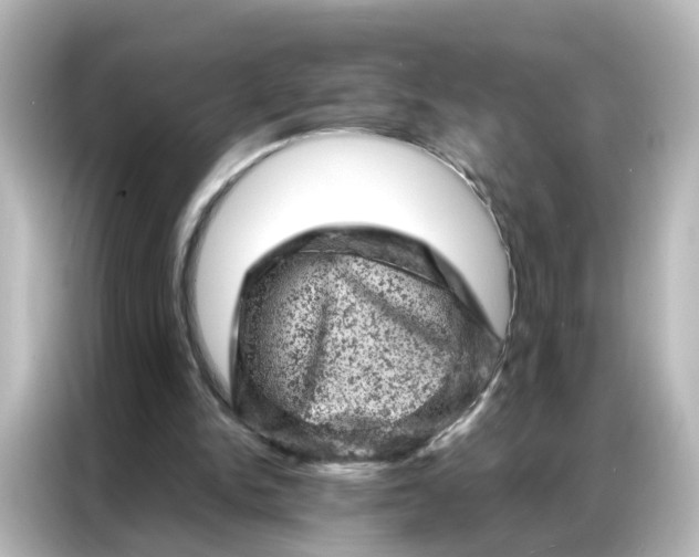 X0000087000150200704301404