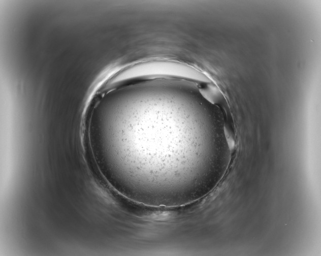 X0000087000152200704301404
