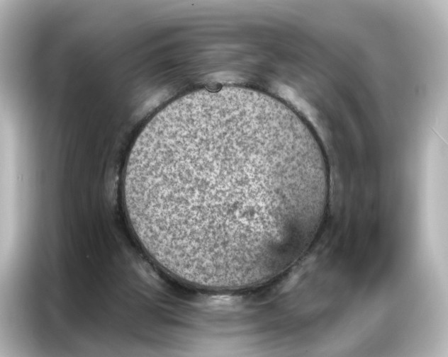 X0000087000153200704301404