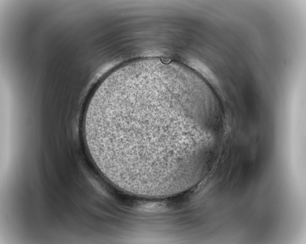 X0000087000155200704301405
