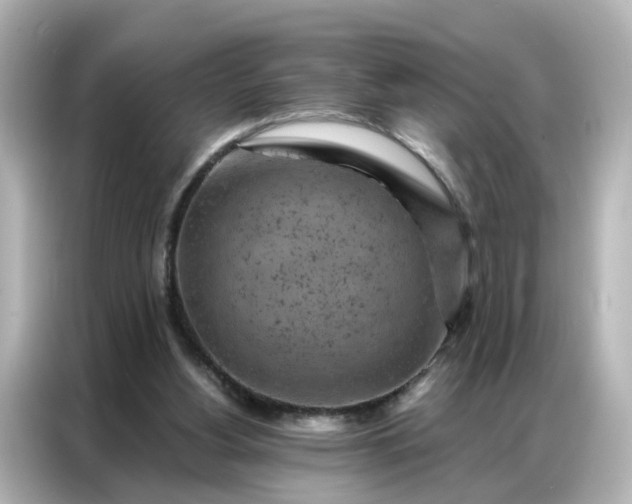 X0000087000156200704301405