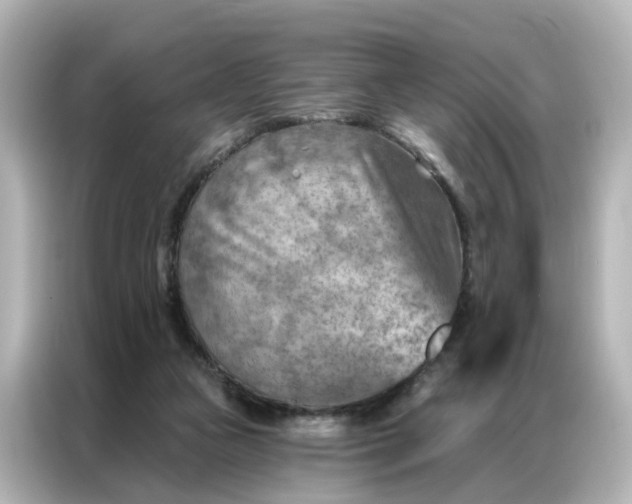 X0000087000161200704301405