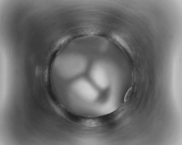 X0000087000163200704301405