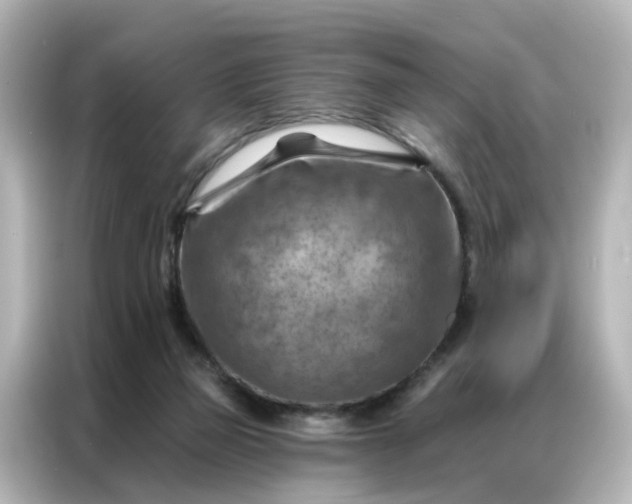 X0000087000165200704301405
