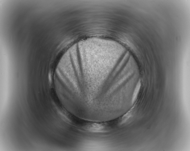 X0000087000166200704301405