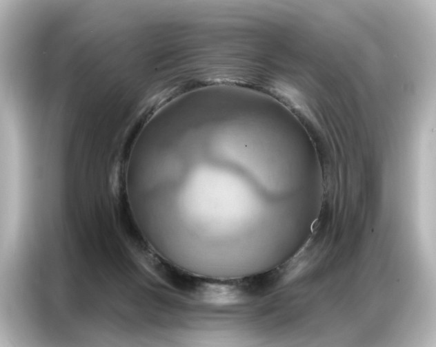 X0000087000167200704301405