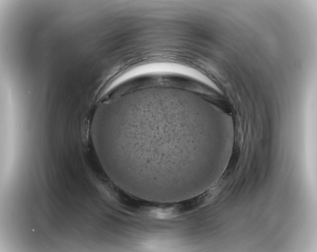 X0000087000168200704301405