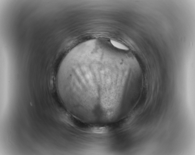 X0000087000169200704301405