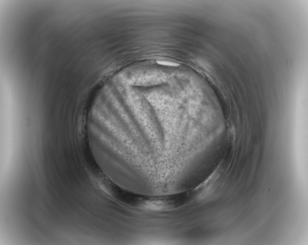 X0000087000171200704301405