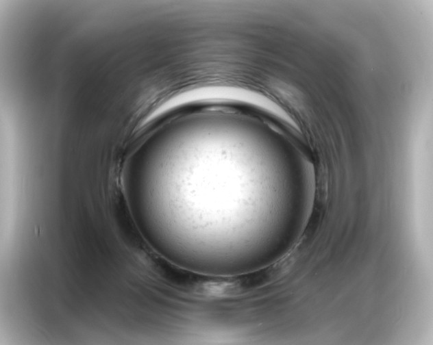 X0000087000172200704301405
