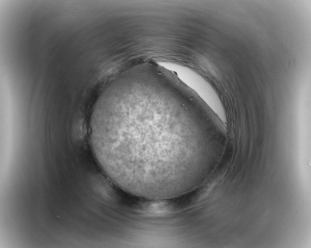 X0000087000173200704301405
