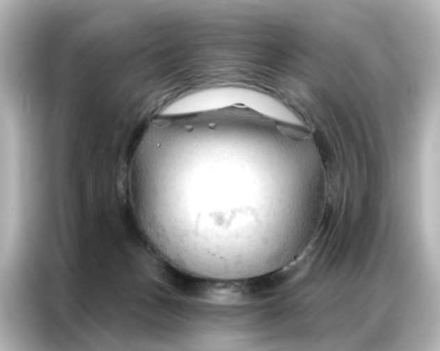 X0000087000175200704301405