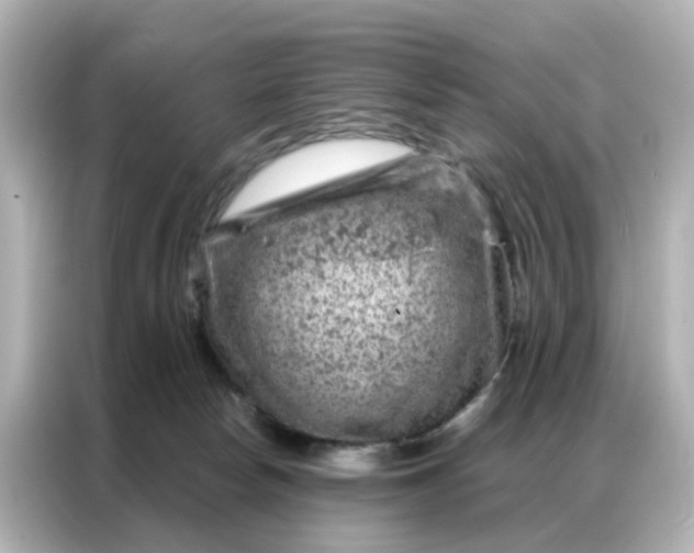 X0000087000178200704301405