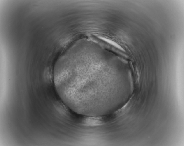 X0000087000179200704301405