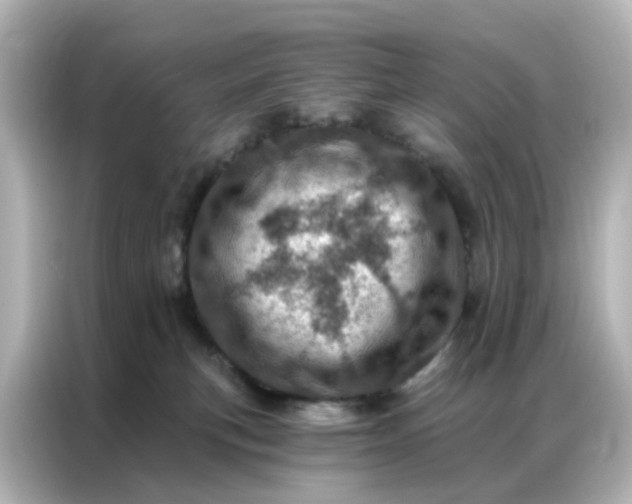 X0000087000183200704301405